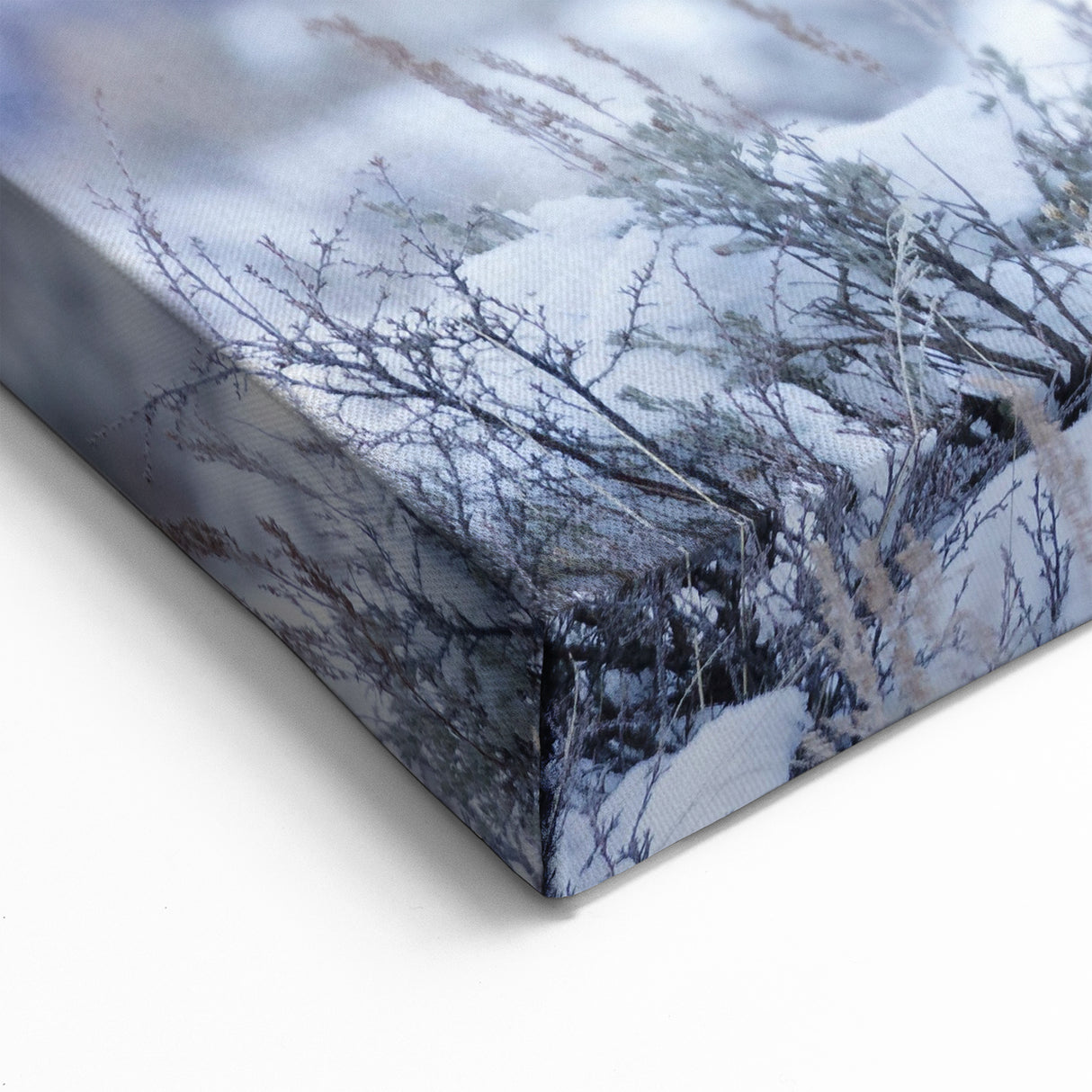 Winter Moose in Snow - Stunning Wildlife Canvas & Framed Art Print