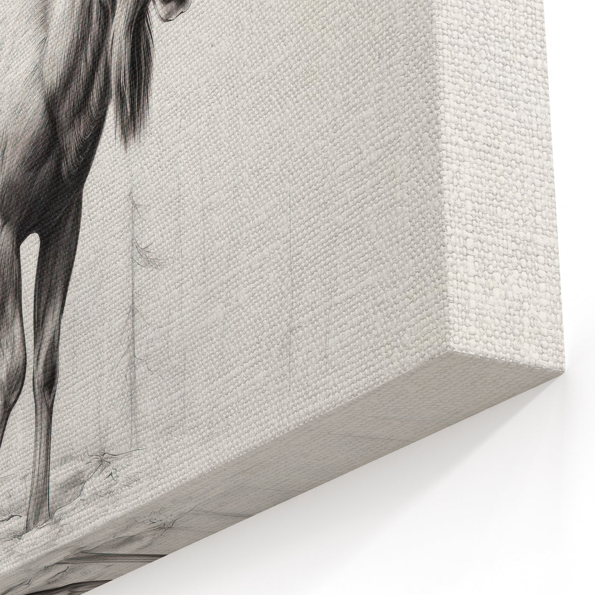 Elegant Moose Sketch Art - Black & White Wildlife Canvas & Prints