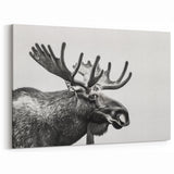 Black & White Moose Portrait - Elegant Wildlife Canvas & Art Prints