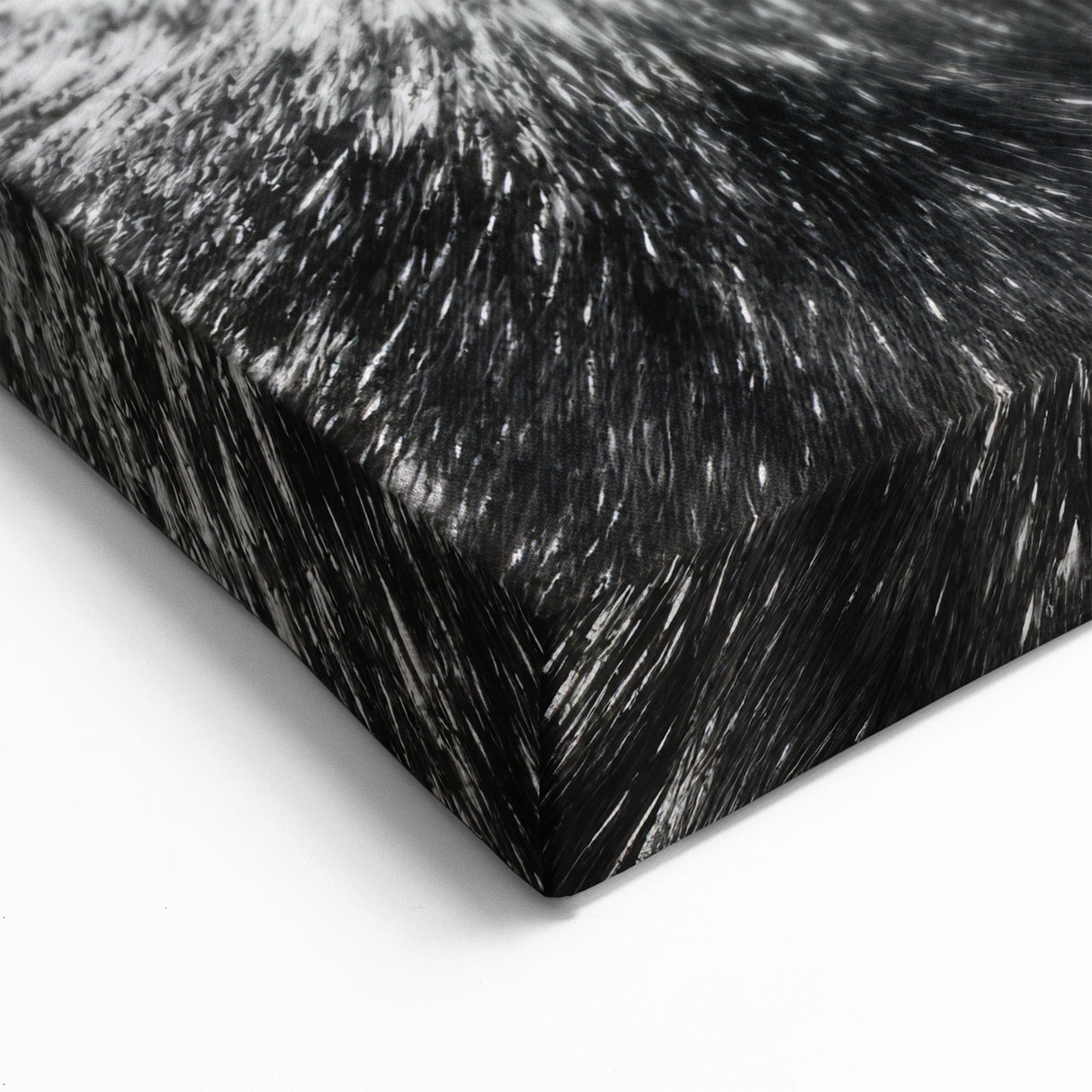 Black & White Moose Portrait - Elegant Wildlife Canvas & Art Prints