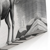 Serene Moose Sketch Art - Black & White Wildlife Canvas & Framed Prints