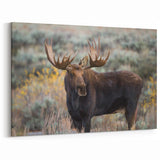 Rustic Moose in Autumn - Wildlife Canvas & Framed Art for Home Decor