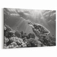 Monochrome Turtle Wall Art - Elegant Marine Life Canvas for Modern Decor