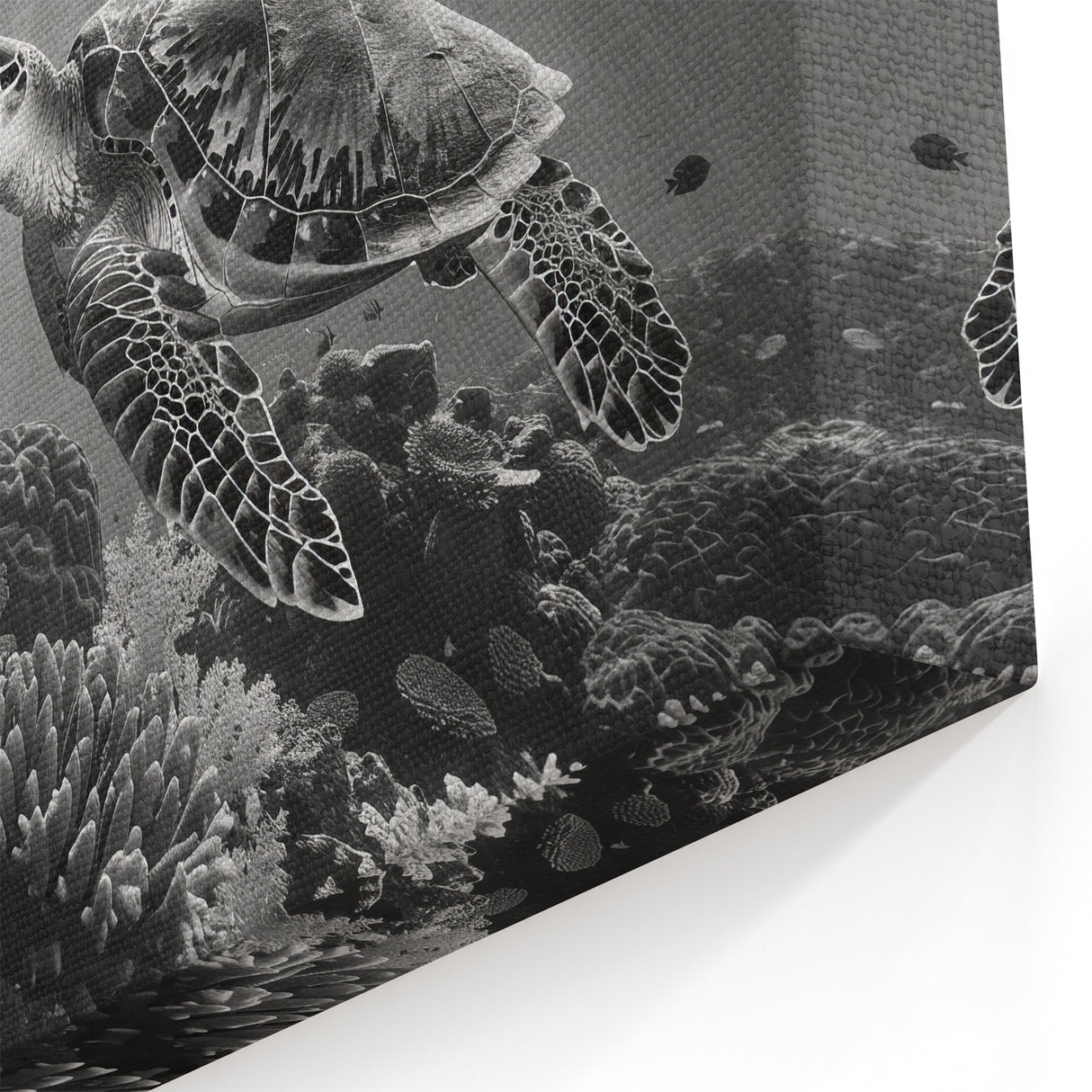 Monochrome Turtle Wall Art - Elegant Marine Life Canvas for Modern Decor