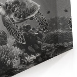 Monochrome Turtle Wall Art - Elegant Marine Life Canvas for Modern Decor