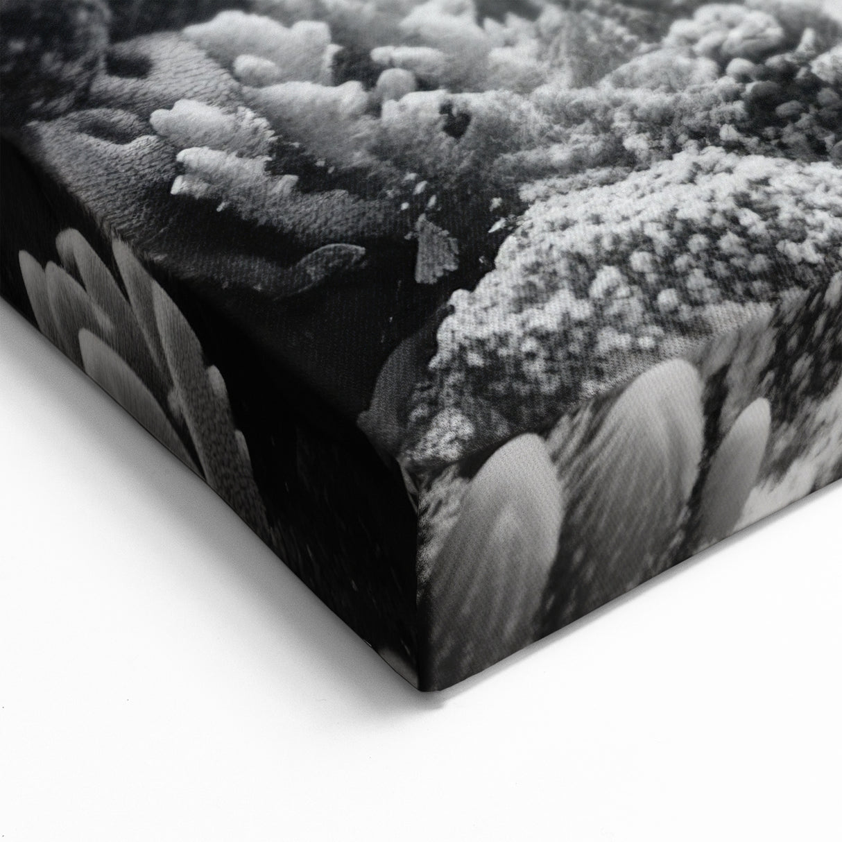 Monochrome Turtle Wall Art - Elegant Marine Life Canvas for Modern Decor