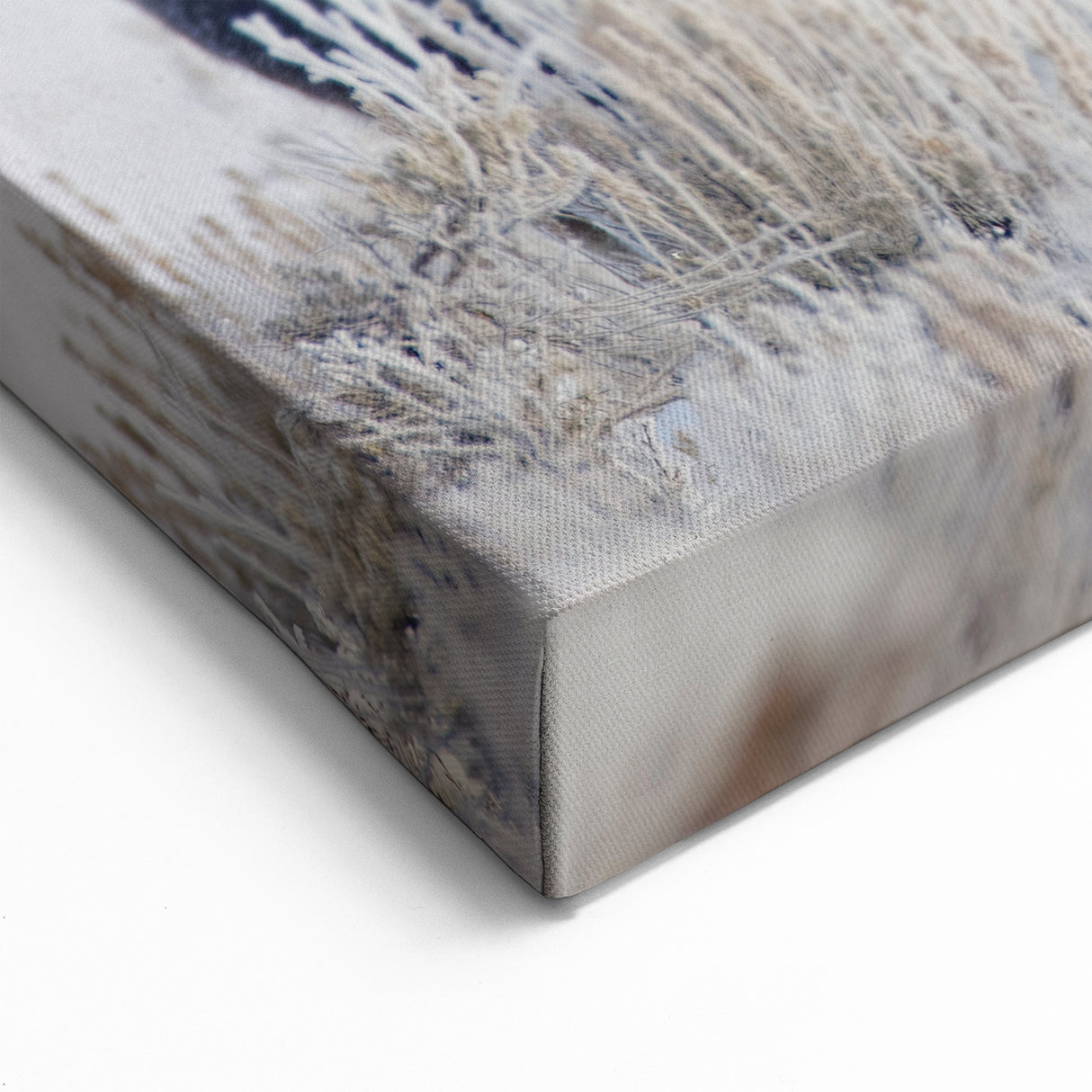 Winter Moose in Frosty Landscape - Scenic Wildlife Canvas & Art Print