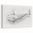 Abstract Whale Wall Art - Black & White Canvas Print - Marine Life Decor