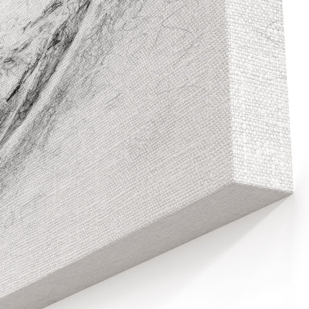 Abstract Whale Wall Art - Black & White Canvas Print - Marine Life Decor