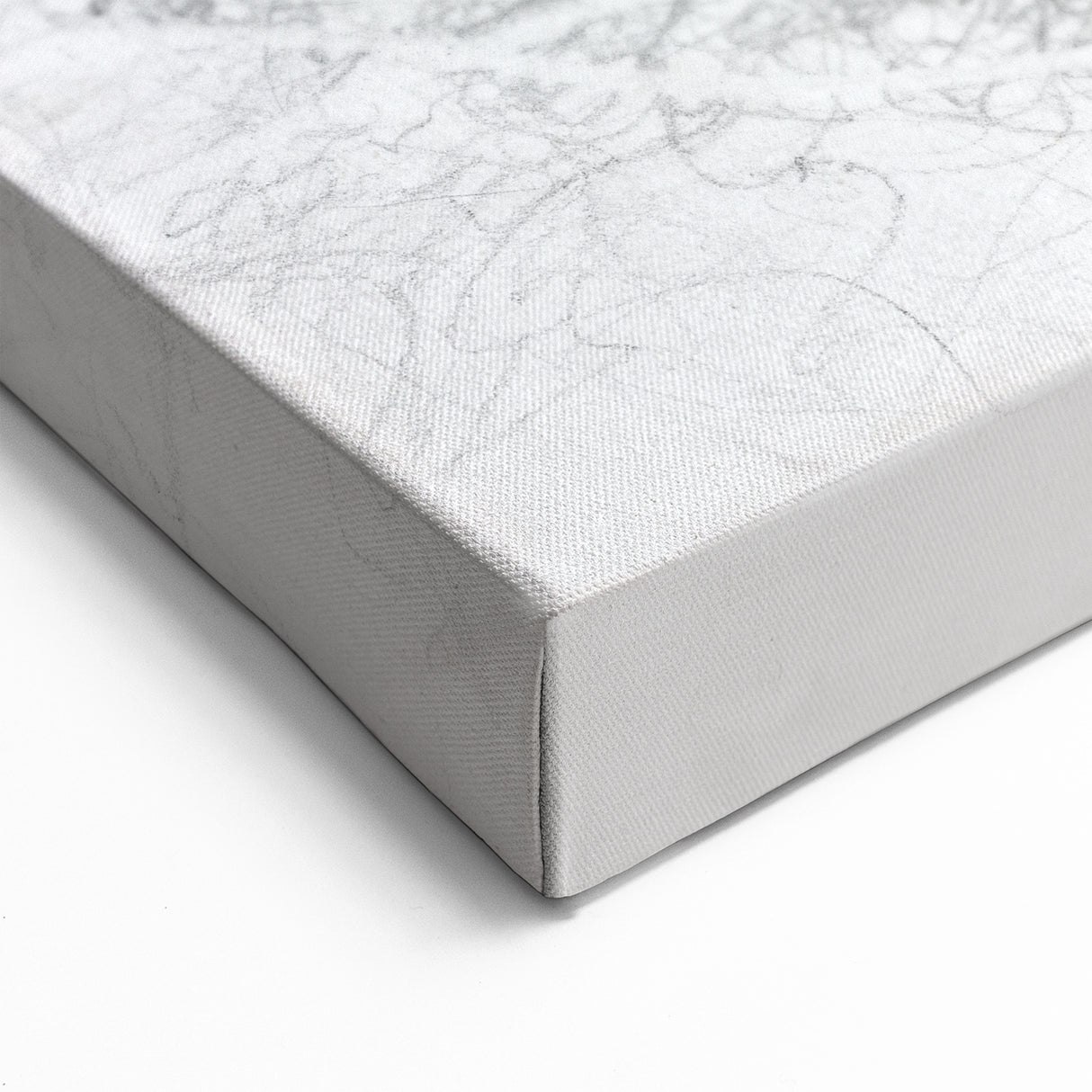 Abstract Whale Wall Art - Black & White Canvas Print - Marine Life Decor