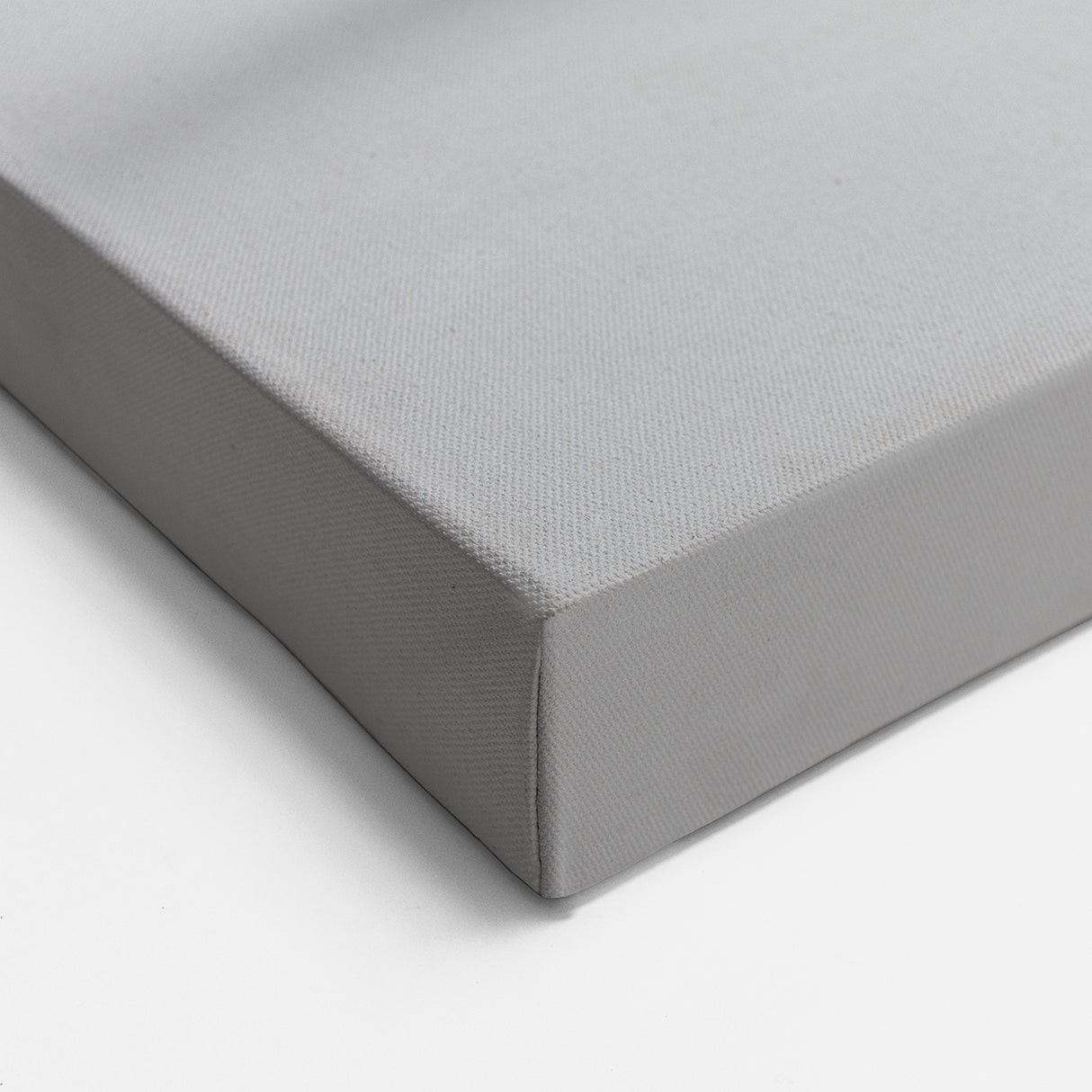 Sleek Whale Wall Art - Black & Silver Canvas Print - Modern Ocean Decor