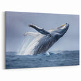 Majestic Whale Wall Art - Breaching Ocean Canvas Print - Marine Decor