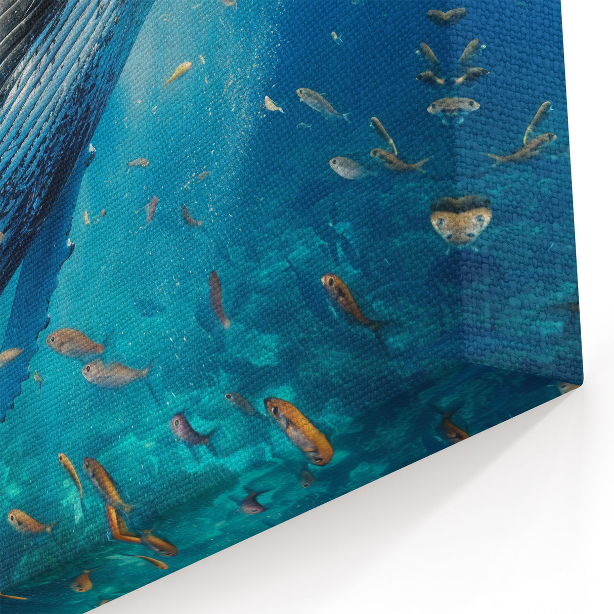 Vibrant Whale Wall Art - Underwater Ocean Canvas Print - Marine Decor