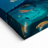 Vibrant Whale Wall Art - Underwater Ocean Canvas Print - Marine Decor