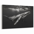 Black and White Whale Art - Underwater Ocean Decor - Canvas & Print
