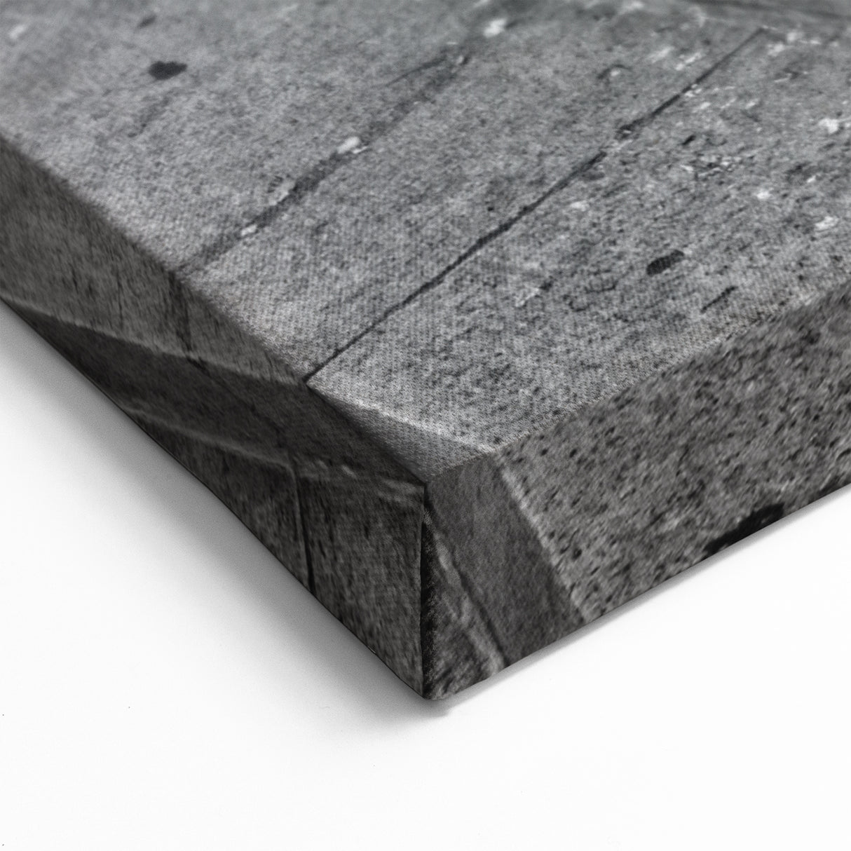 Architectural Columns Wall Art - Black & White Classic Canvas Print