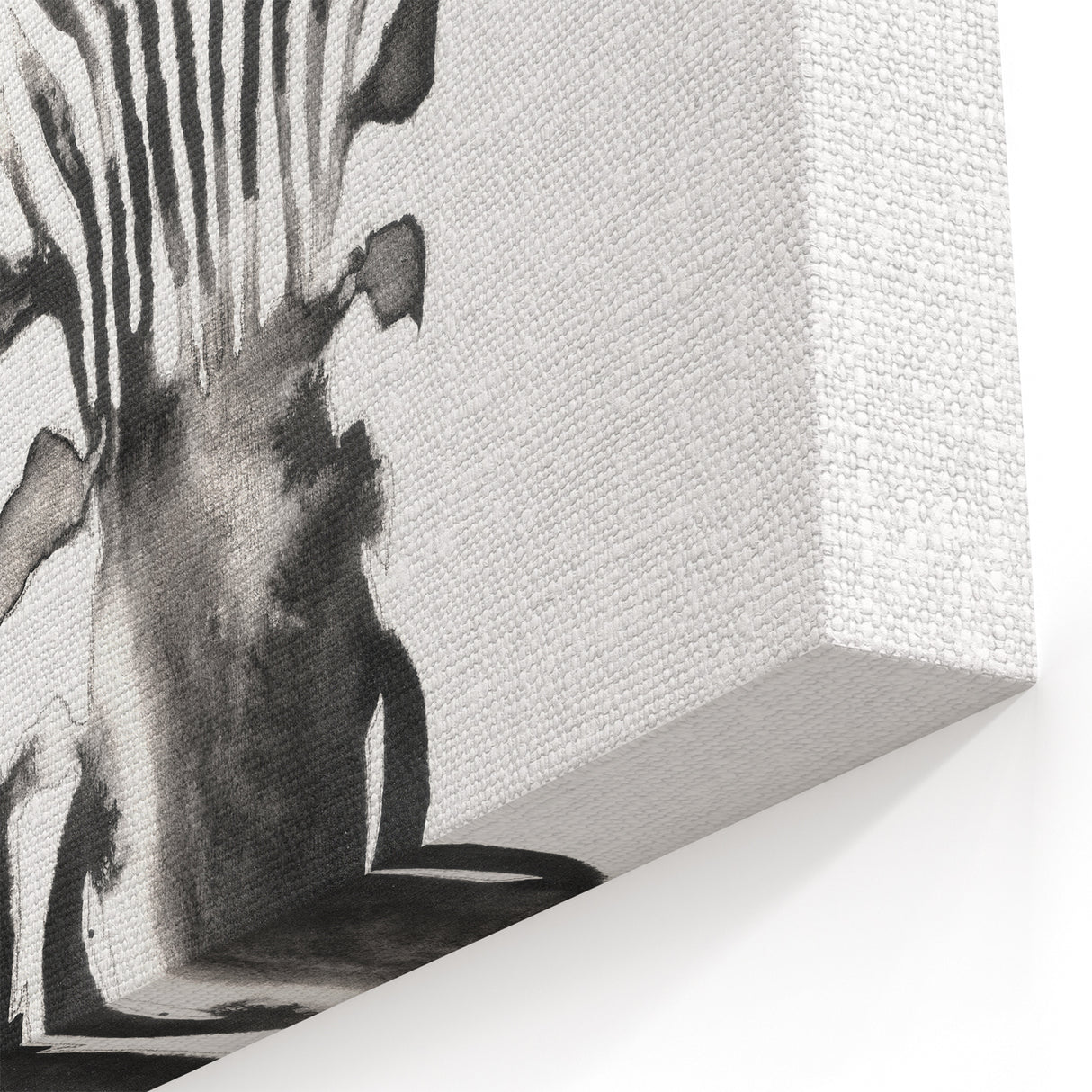 Majestic Zebra Wall Art - African Wildlife Zebra Canvas & Framed Prints