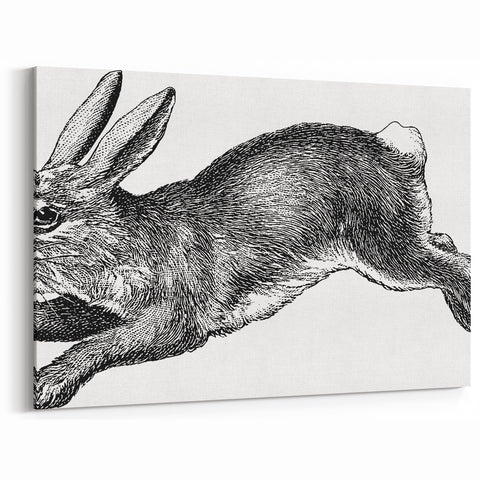 Charming Rabbit Wall Art - Rustic Animal Canvas Framed & Acrylic Prints