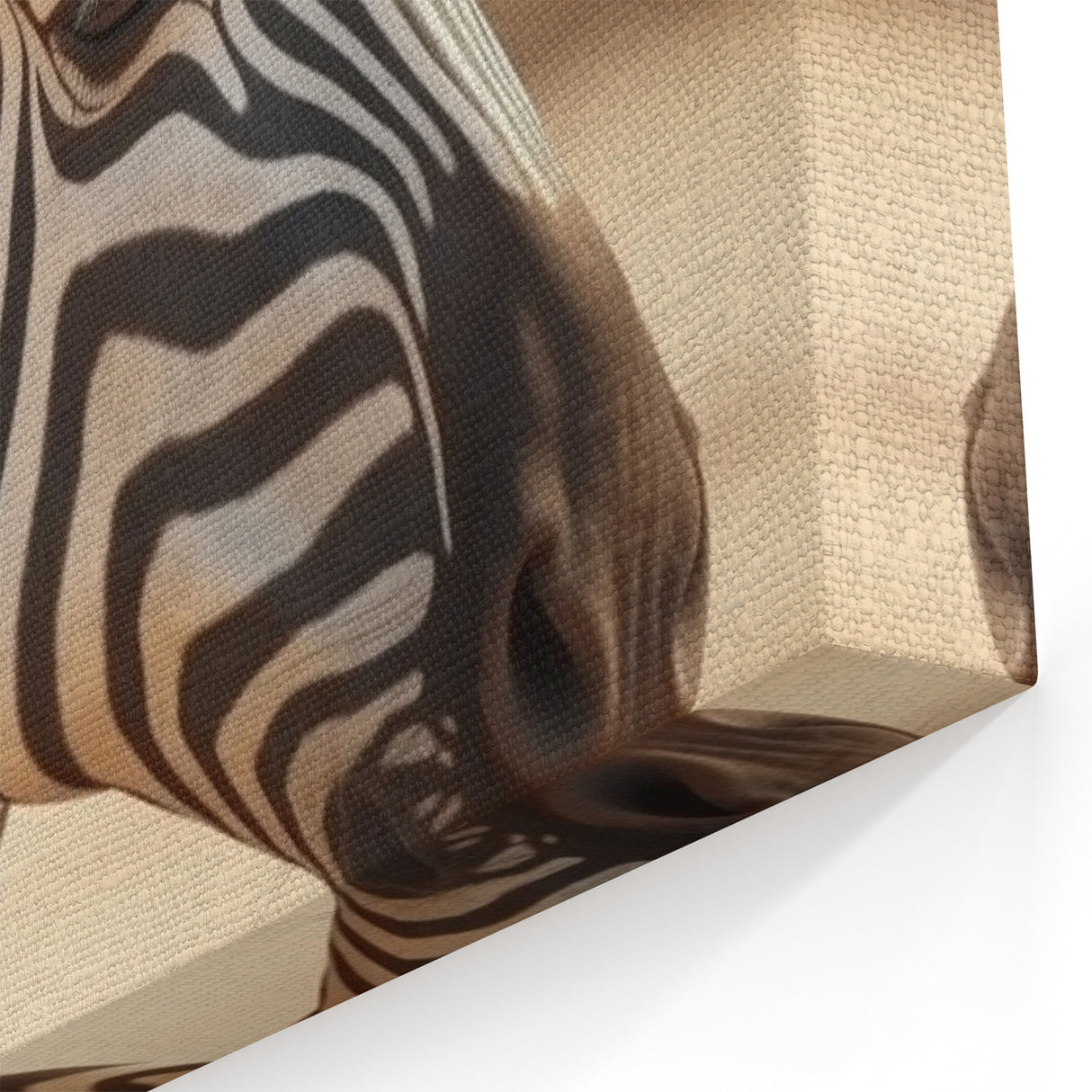 Elegant Zebra Wall Art - Black and White Safari Canvas Print