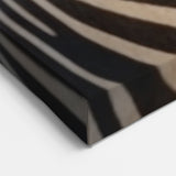 Elegant Zebra Wall Art - Black and White Safari Canvas Print