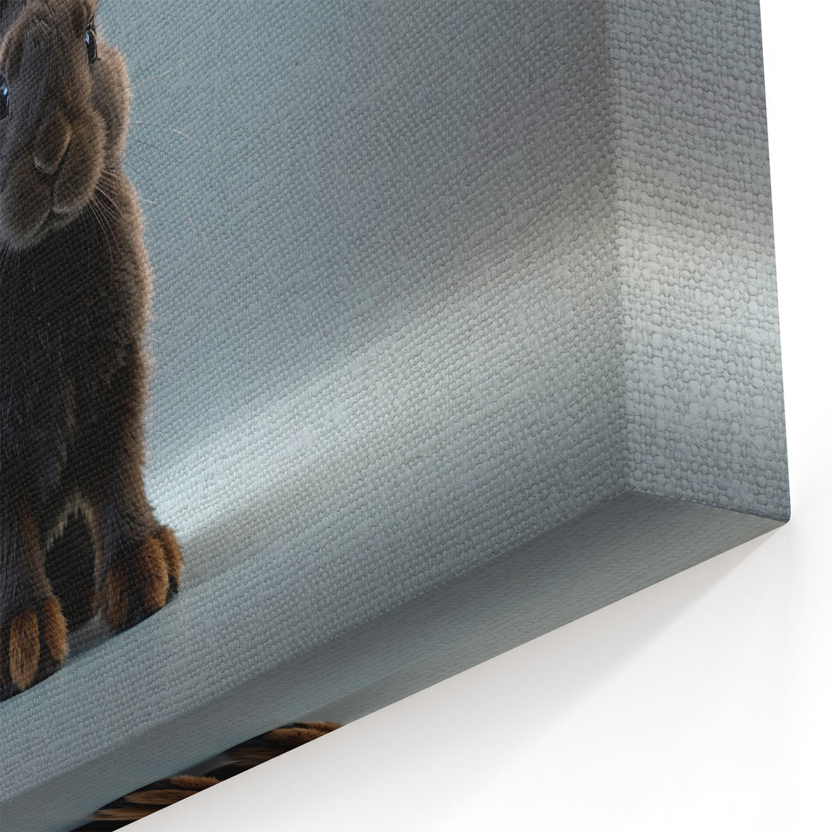 Adorable Black Rabbit Wall Art - Wildlife Animal Canvas & Framed Prints