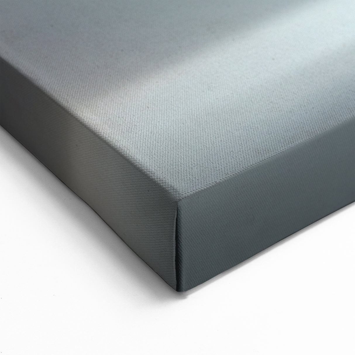 Adorable Black Rabbit Wall Art - Wildlife Animal Canvas & Framed Prints