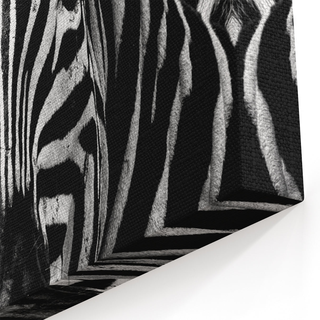 Monochrome Zebra Wall Art - Striking Black and White Canvas Print