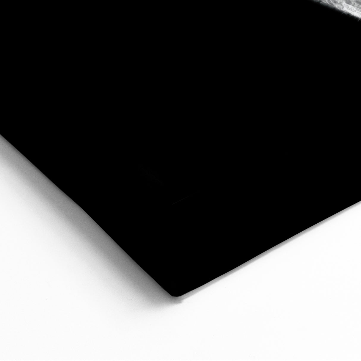 Monochrome Zebra Wall Art - Striking Black and White Canvas Print