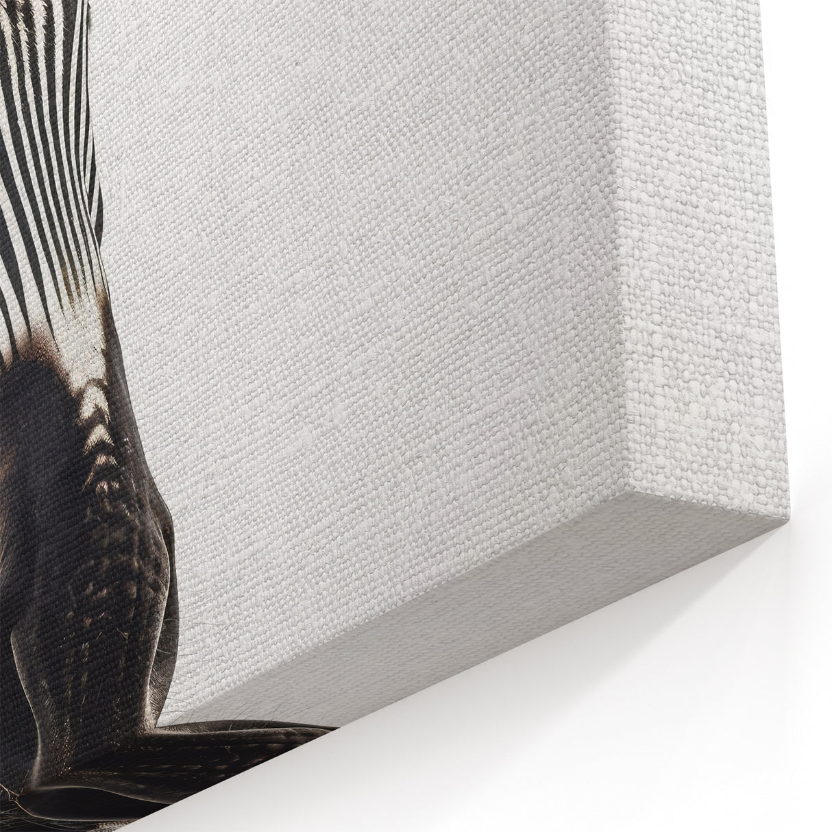 Minimalist Zebra Wall Art - Black and White Safari Canvas Print