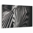 Close-Up Zebra Wall Art - Intimate Black and White Safari Canvas Print
