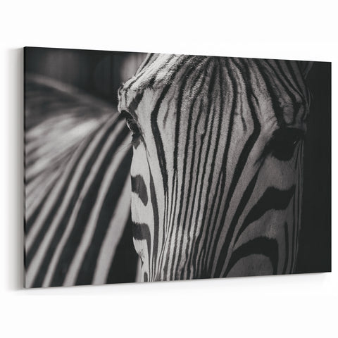Close-Up Zebra Wall Art - Intimate Black and White Safari Canvas Print