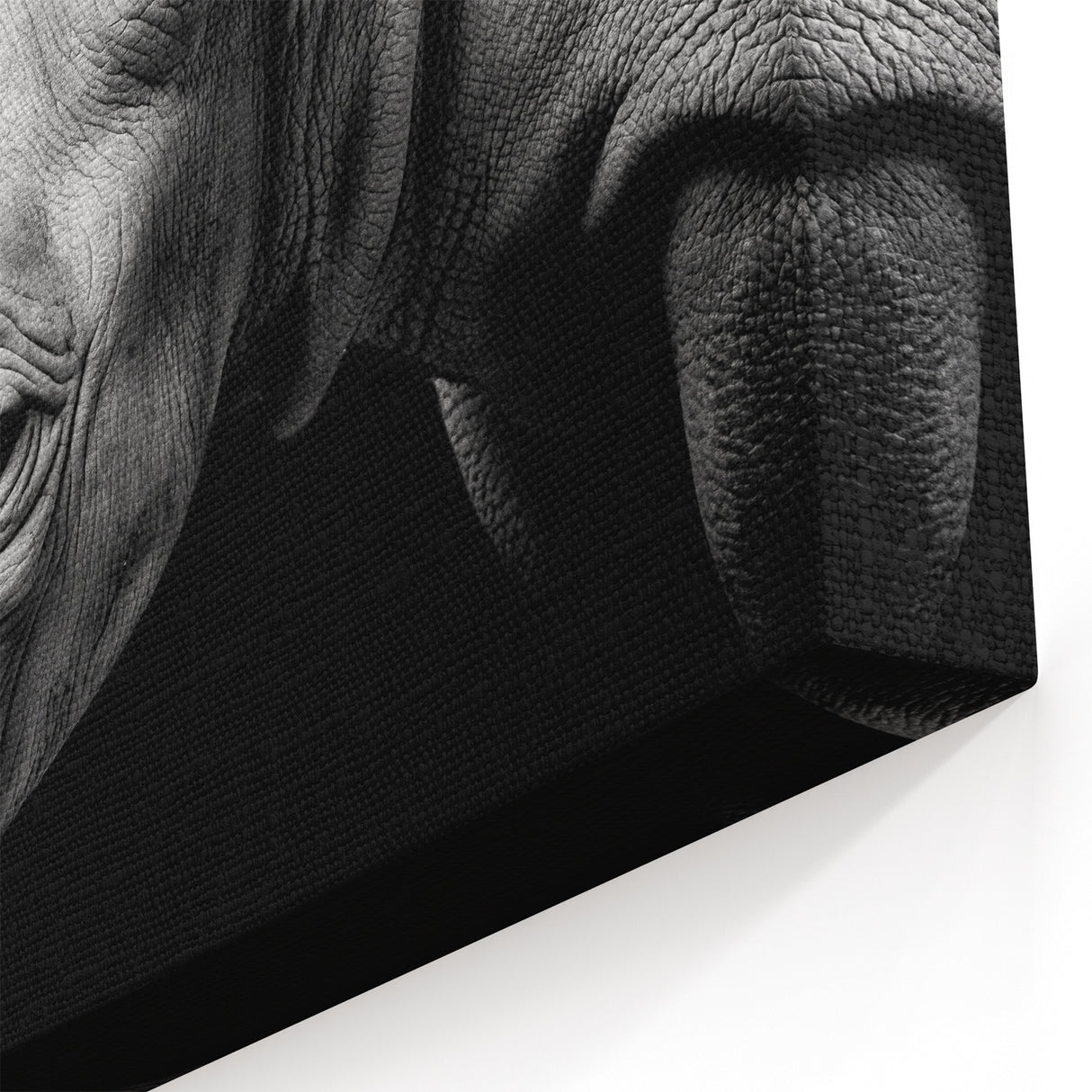 Close-Up Rhinoceros Wall Art - Black and White Rhino Canvas Print