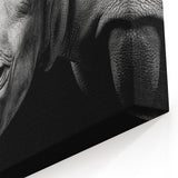 Close-Up Rhinoceros Wall Art - Black and White Rhino Canvas Print