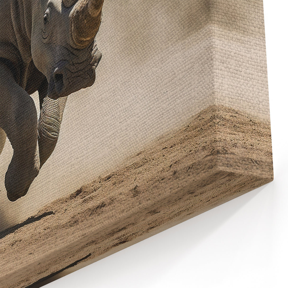 Charging Rhinoceros Wall Art - Dynamic Rhino Canvas Print Decor