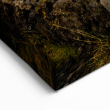 Rustic Church Domes Wall Art - Historic Architecture Canvas Print