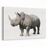 Realistic Rhinoceros Wall Art - Detailed Rhino Canvas Print Decor
