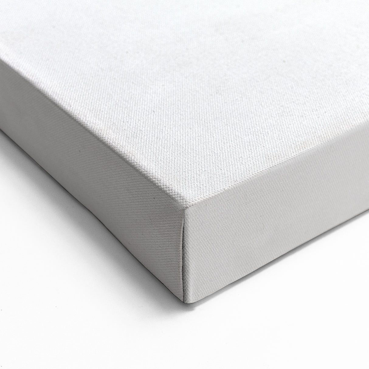 Realistic Rhinoceros Wall Art - Detailed Rhino Canvas Print Decor