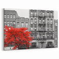Urban Window Wall Art – Red Tree Against Vintage City Architecture Print