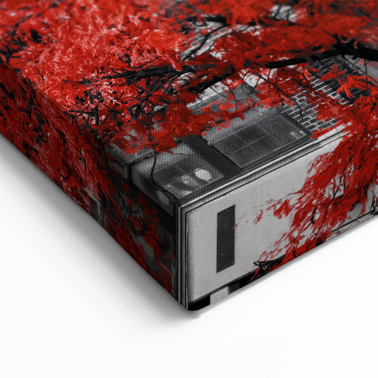 Urban Window Wall Art – Red Tree Against Vintage City Architecture Print