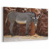 Realistic Zebra Wall Art - Classic Safari Canvas Print