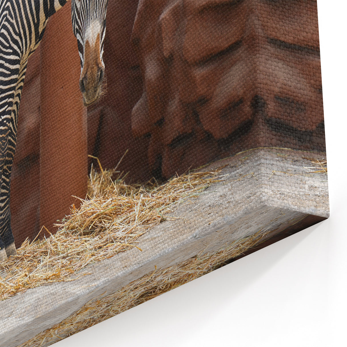 Realistic Zebra Wall Art - Classic Safari Canvas Print