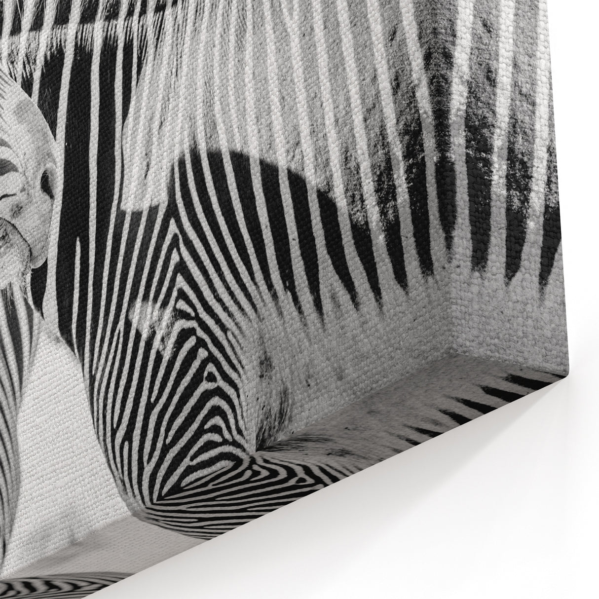 Monochrome Zebra Duo Wall Art - Black and White Safari Canvas Print