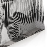 Monochrome Zebra Duo Wall Art - Black and White Safari Canvas Print
