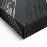 Majestic Columns & Ceiling Art - Dramatic Black & White Canvas Print