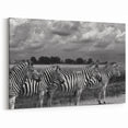 Zebra Herd in African Landscape - Striking Black and White Safari Art