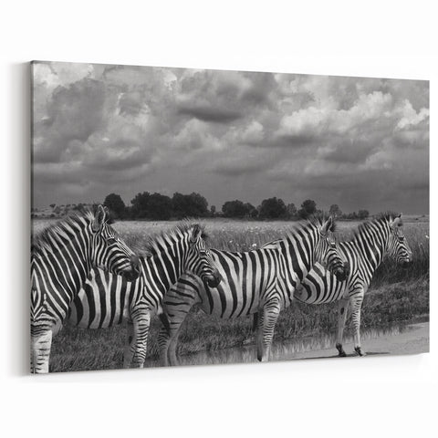 Zebra Herd in African Landscape - Striking Black and White Safari Art