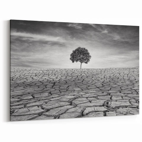 Solitary Tree in Desert - Striking Black and White Desert Wall Art