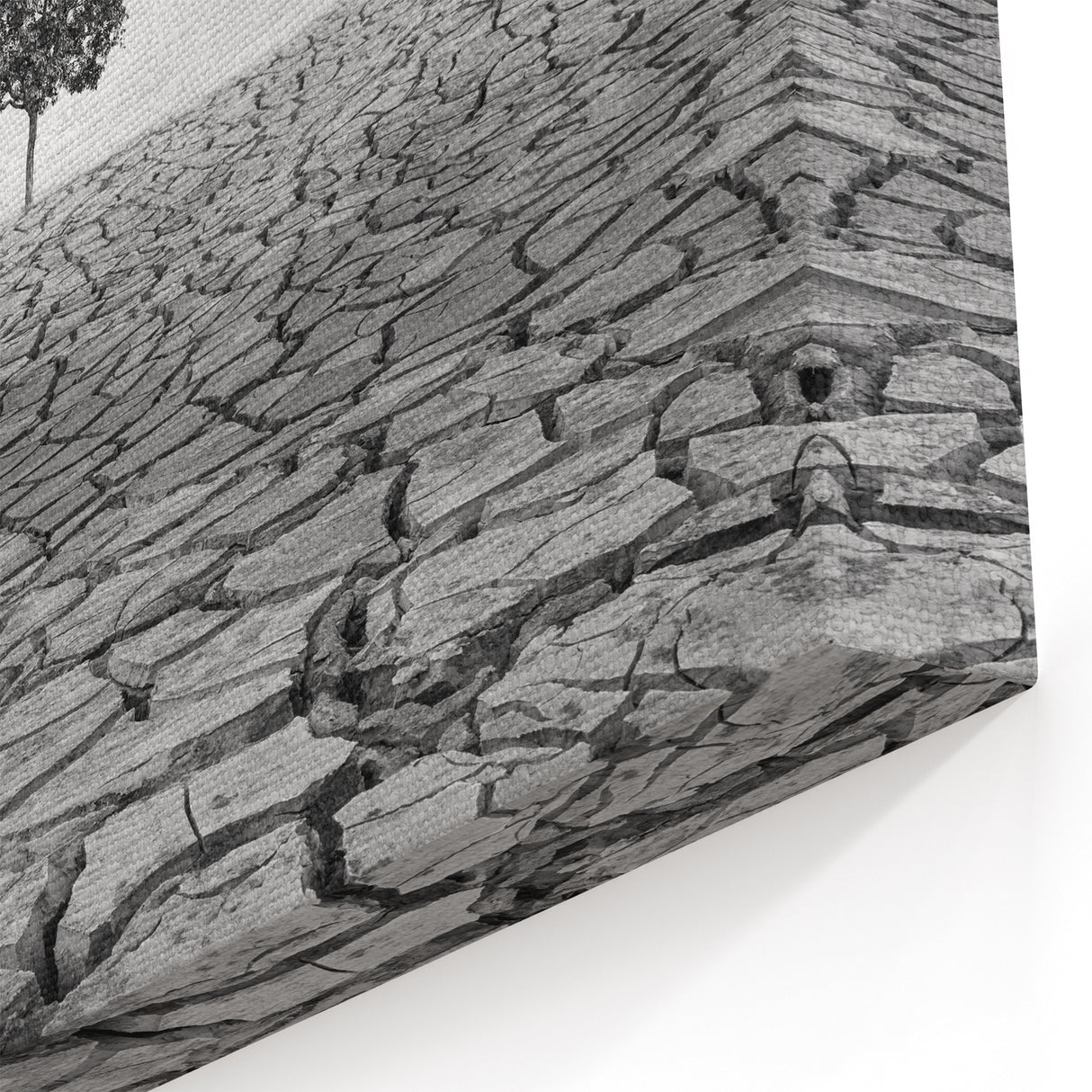 Solitary Tree in Desert - Striking Black and White Desert Wall Art