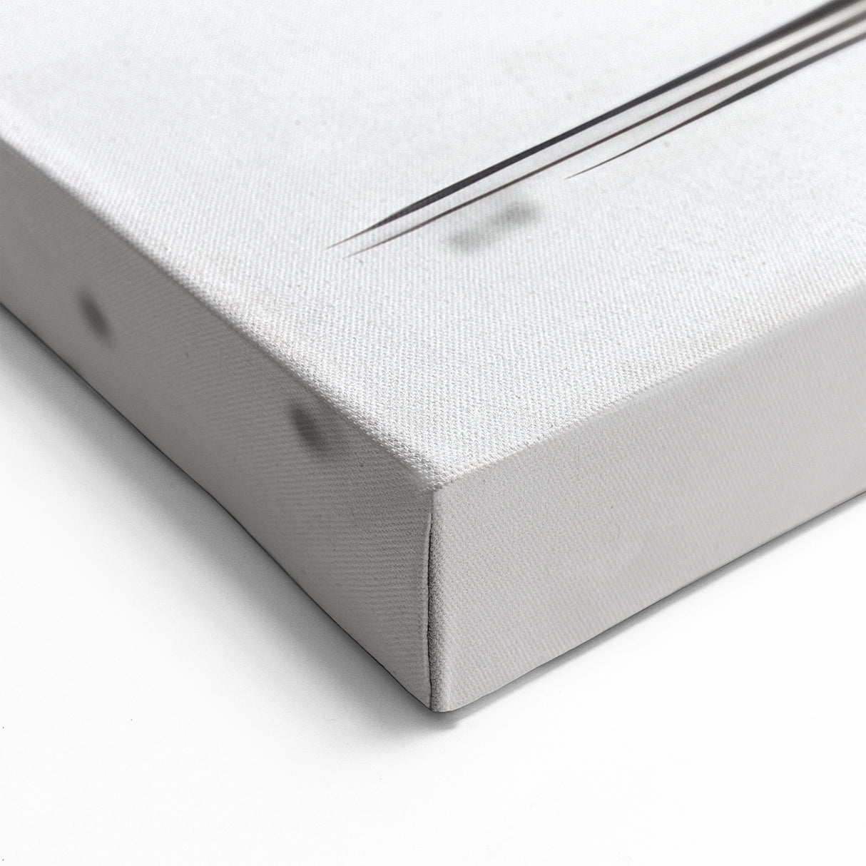 Twin Zebras in Water - Beautiful Safari Wildlife Art for Modern Decor