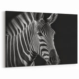 Striking Black and White Zebra Wall Art - Elegant Safari Animal Decor